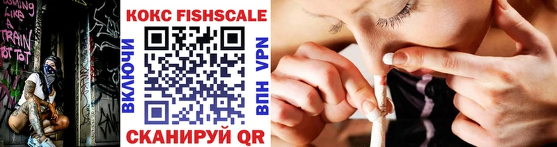 COCAIN Fish Scale  купить  цена  Покровск 