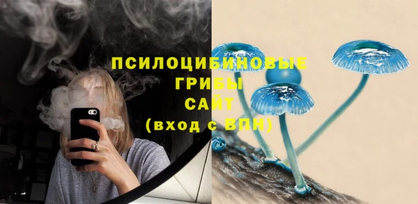 твердый Арсеньев