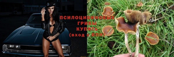 spice Армянск