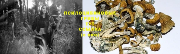твердый Арсеньев