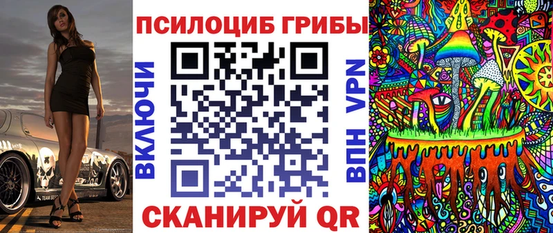 гидра ССЫЛКА Покровск Псилоцибиновые грибы Psilocybe